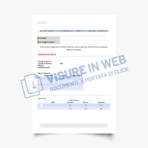 indagine patrimoniale impresa