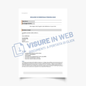 indagine patrimoniale persona fisica