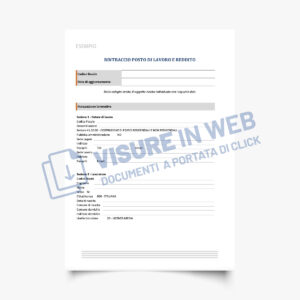 rapporti informativi rintraccio posto lavoro