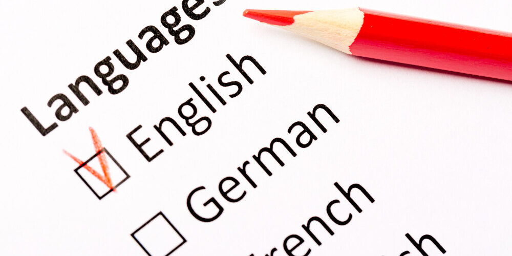 visura camerale in inglese