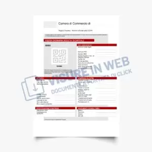 camera commercio visura camerale ordinaria