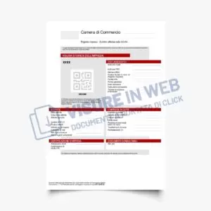 camera commercio visura camerale storica