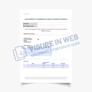 indagine patrimoniale impresa