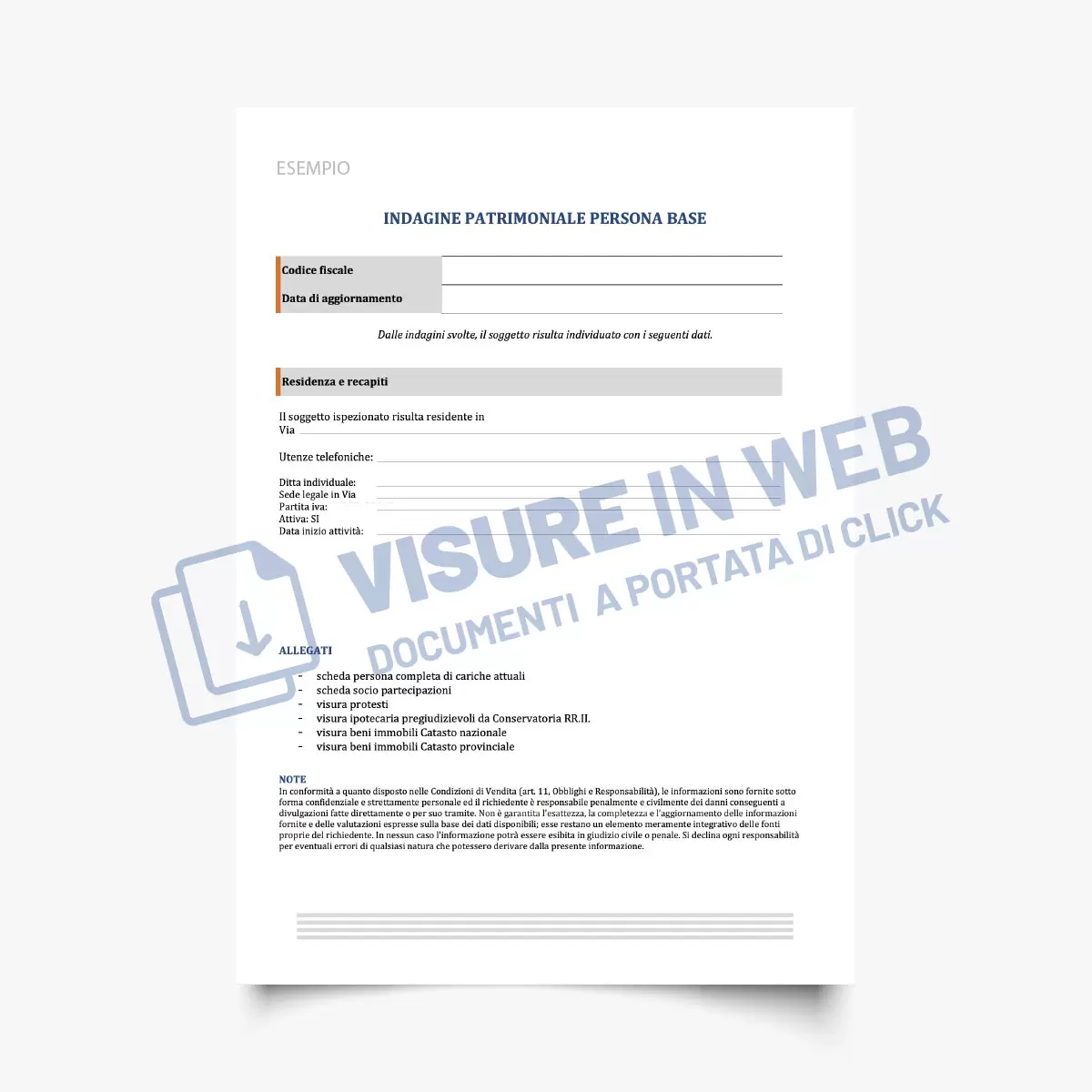 indagine patrimoniale persona fisica