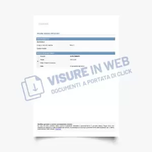rapporti informativi rintraccio veicoli per targa